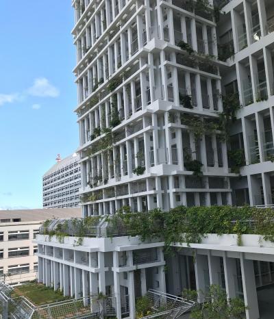 7階から撮影した庁舎外観の写真
