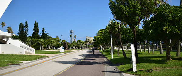 写真：福祉・健康