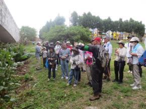 写真：新都心沖縄の杜観察会の様子1