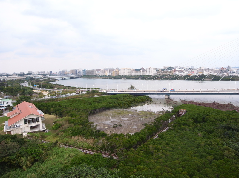 漫湖水鳥・湿地センターの写真