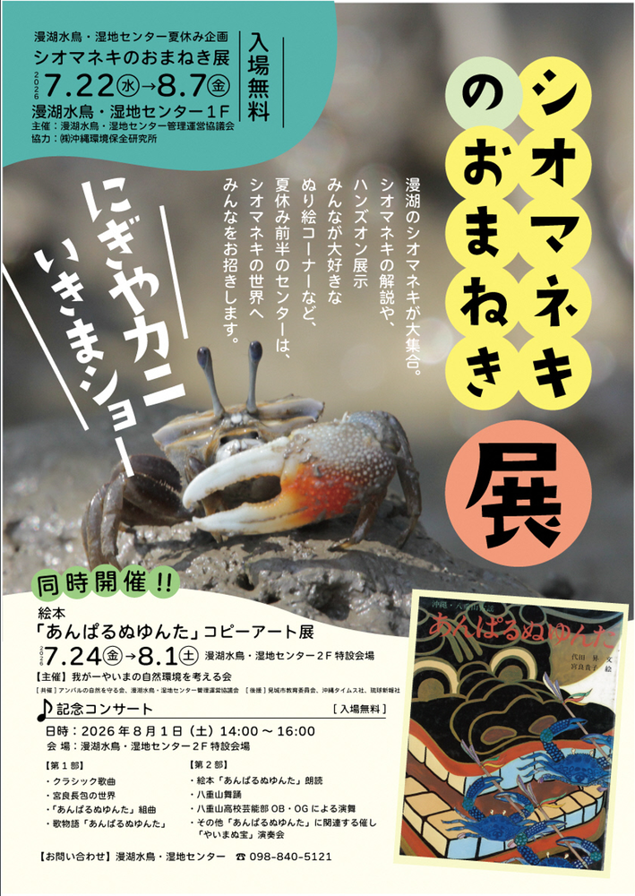 シオマネキのオマネキ展