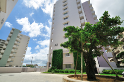 写真：A2棟壁面緑化とガジュマル広場