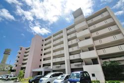 写真：駐車場側から見たA3棟