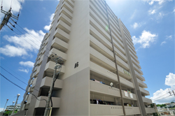 写真：A6棟北東側