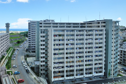 写真：3期区域全景