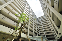 写真：A5棟内駐車場