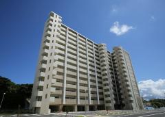 第6期完成写真2