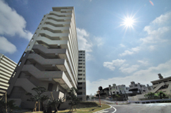 写真：5号棟構内道路