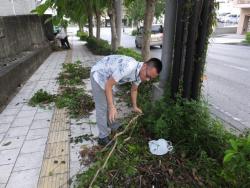 写真：活動の様子1
