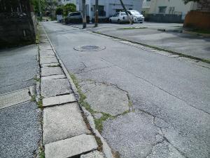 写真：安謝中央線1（整備前）