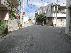 写真：安謝北線2（整備前）スージ道