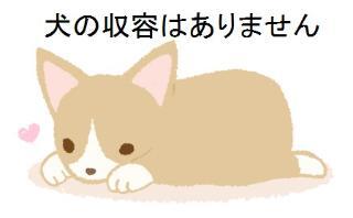 犬の収容はありません