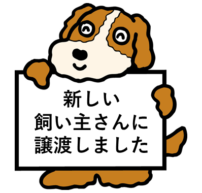 新しい飼い主さんに譲渡しました