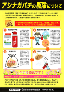 那覇市ハチ