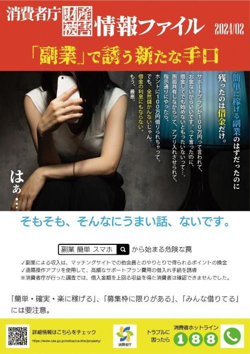 写真:副業で誘う新たな手口チラシ