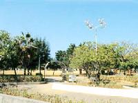 写真：若狭公園