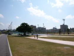 写真：新都心公園ウォーキングコース