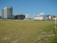 写真：新都心公園