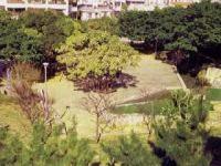 写真：松山公園