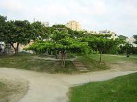 写真：大石公園