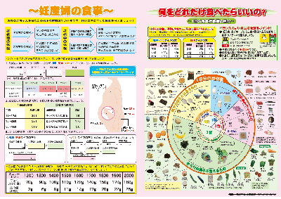 写真：妊産婦の食事について　チラシ