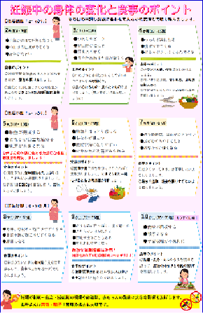 写真：妊娠中の身体の変化と食事のポイント　チラシ