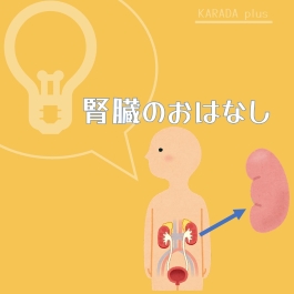 写真：腎臓のお話 表紙