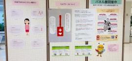 写真：外見ではわかりづらい障がいやヘルプマークについての掲示物