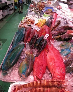 写真：さまざまな魚