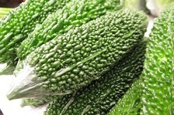 写真：ゴーヤー