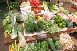 写真：野菜