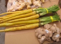 写真：島にんじん