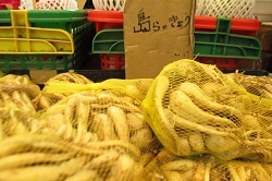 写真：島らっきょう