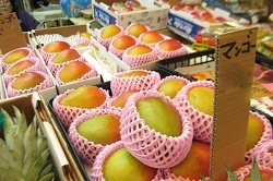 写真：マンゴー