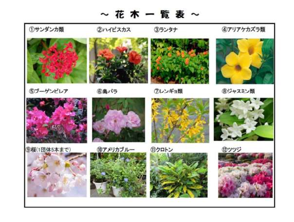 花木一覧