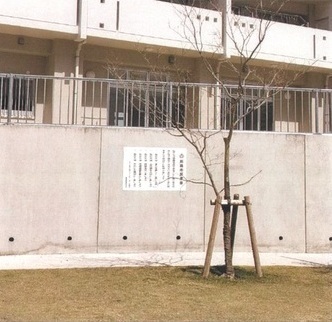 真地団地