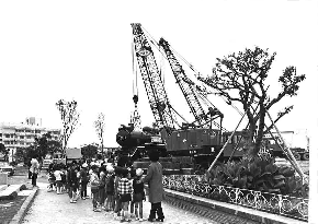 写真：与儀公園設置時3