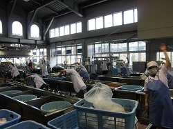 写真:ラジオ体操