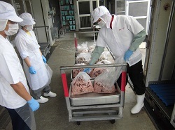 写真:肉類の納品1