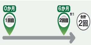 イラスト:標準的な接種間隔 6か月あけて2回。5か月以上あけて2回。5か月未満である場合、3回目の接種が必要