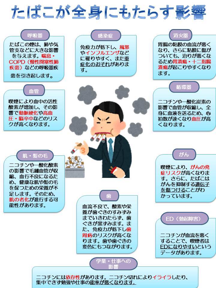 写真：たばこが全身にもたらす影響　チラシ