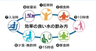 効率の良い水分補給のタイミングを表したイラスト
