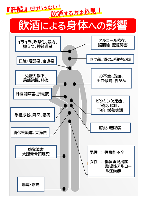 イラスト：飲酒による身体への影響