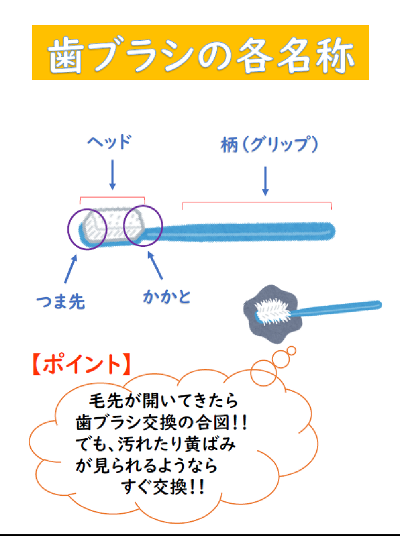 イラスト:歯ブラシの各名称