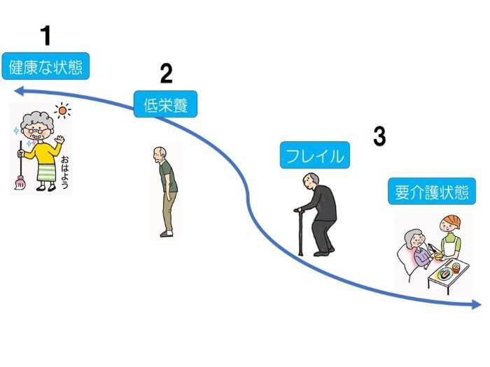 イラスト：1 健康な状態、2 低栄養、3 フレイル、4 要介護状態