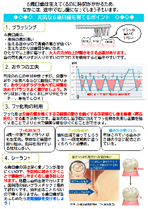 写真：6歳臼歯のケアなど