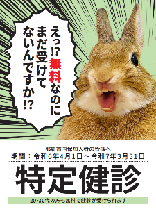 写真：令和6年度 特定健診ポスター