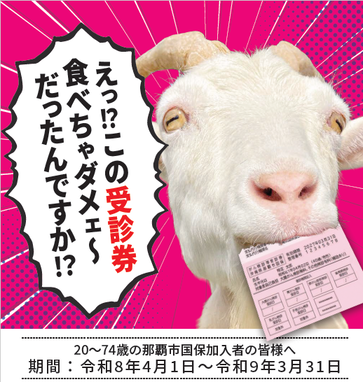 国保健診