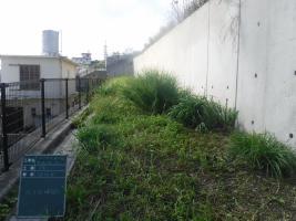 写真：虎瀬公園　整備前