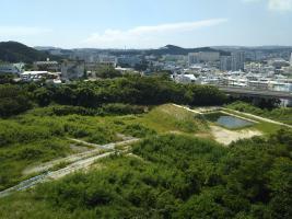 写真：識名公園　整備前